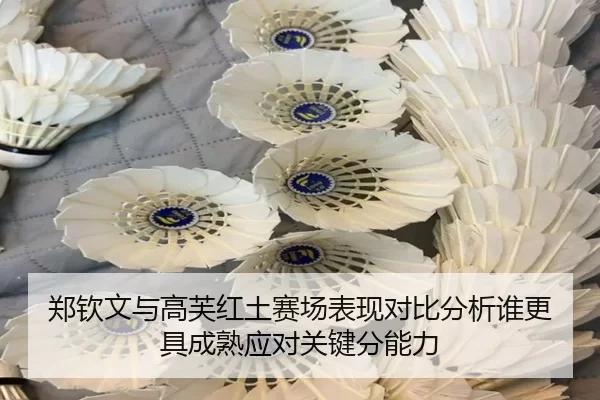 郑钦文与高芙红土赛场表现对比分析谁更具成熟应对关键分能力